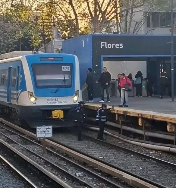 Una  adolescente de 13 años fue arrollada por un tren en la estación Flores.