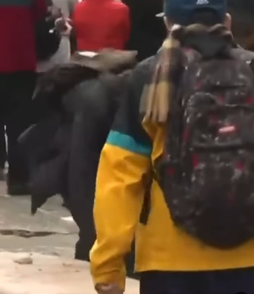 Tensión frente al Congreso: represión policial e incidentes durante la Marcha Federal Universitaria