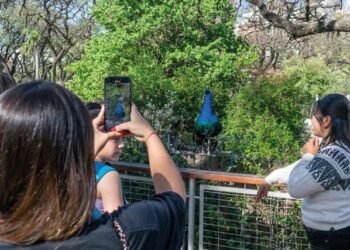 Ecoparque, el refugio de los animales .
