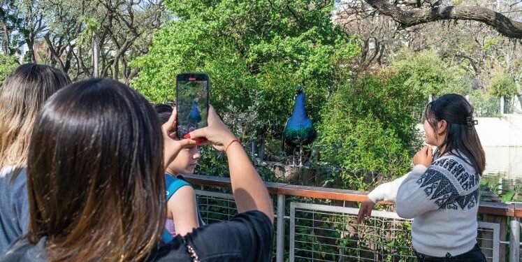 Ecoparque, el refugio de los animales .